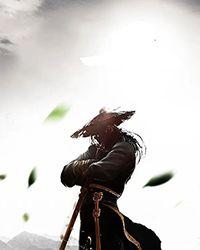 佳期误Ⅱ：风尘挽歌