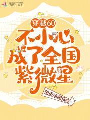 穿越60:不小心成了全国紫微星