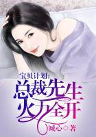 宝贝计划,总裁先生火力全开